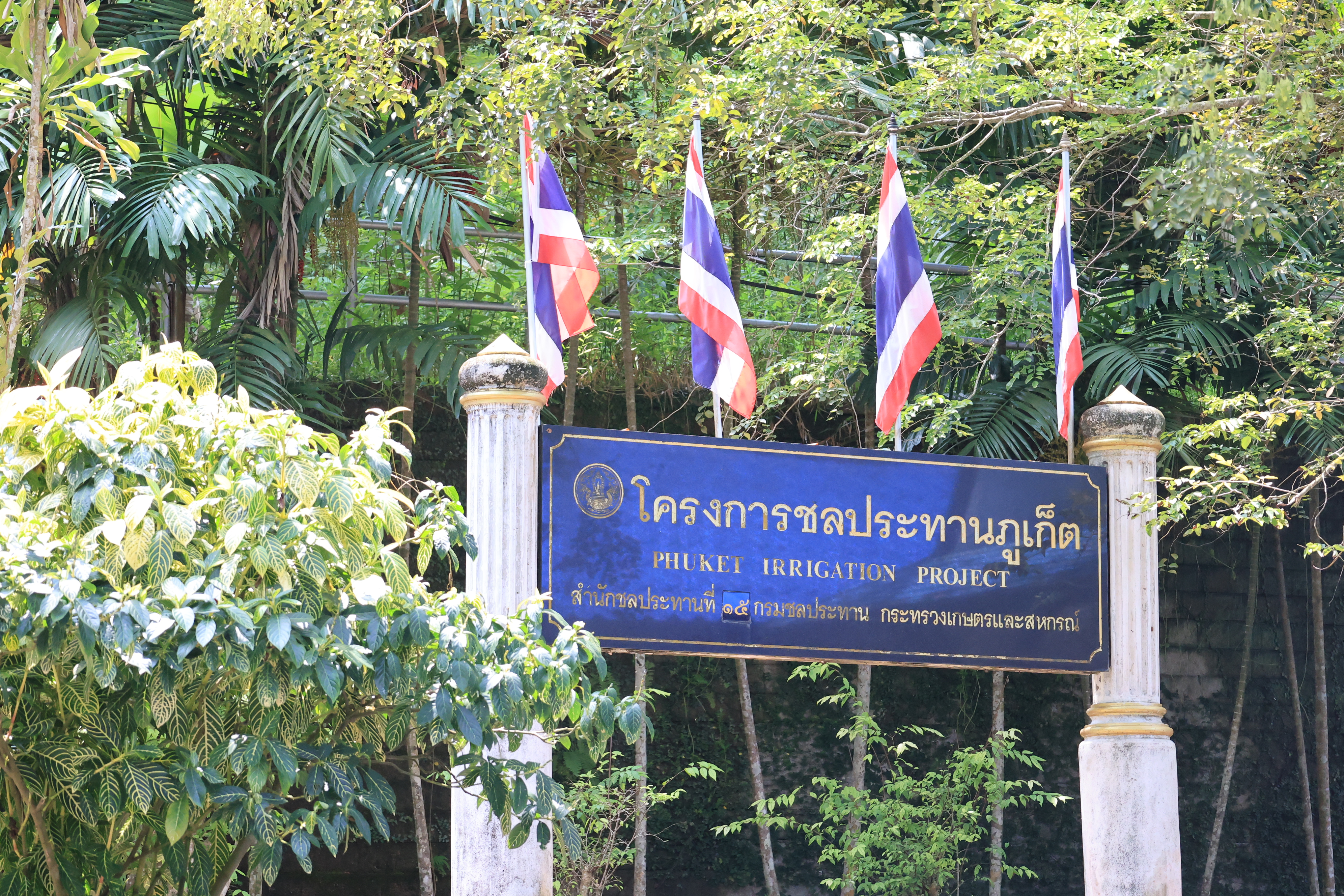 title - ส.ป.ก. เตรียมความพร้อมต้อนรับ รัฐมนตรีช่วยว่าการกระทรวงเกษตรและสหกรณ์ ตรวจราชการพื้นที่ จังหวัดภูเก็ต